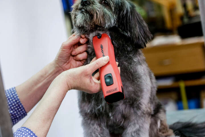 AESCULAP Akkuschermaschine Favorita CL